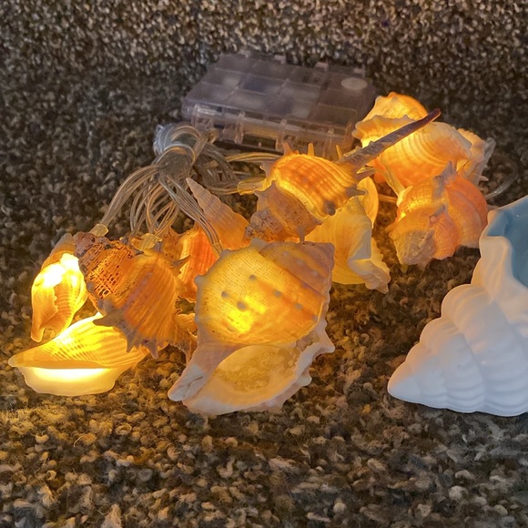 Huge Shell Decor Set, Brand New! - Picture 3 of 6